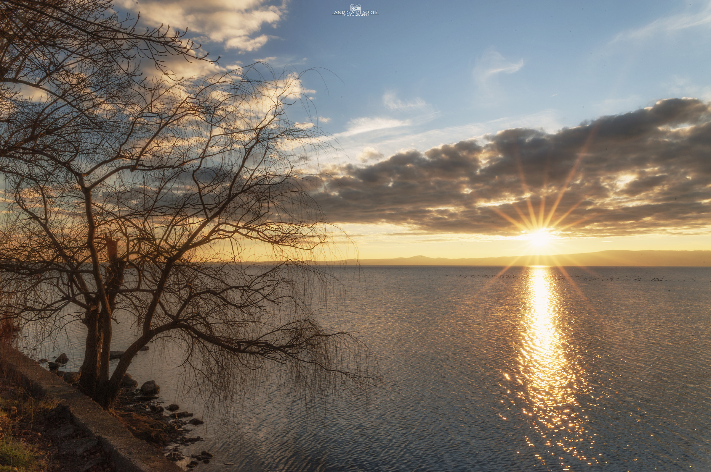 The first warm lights