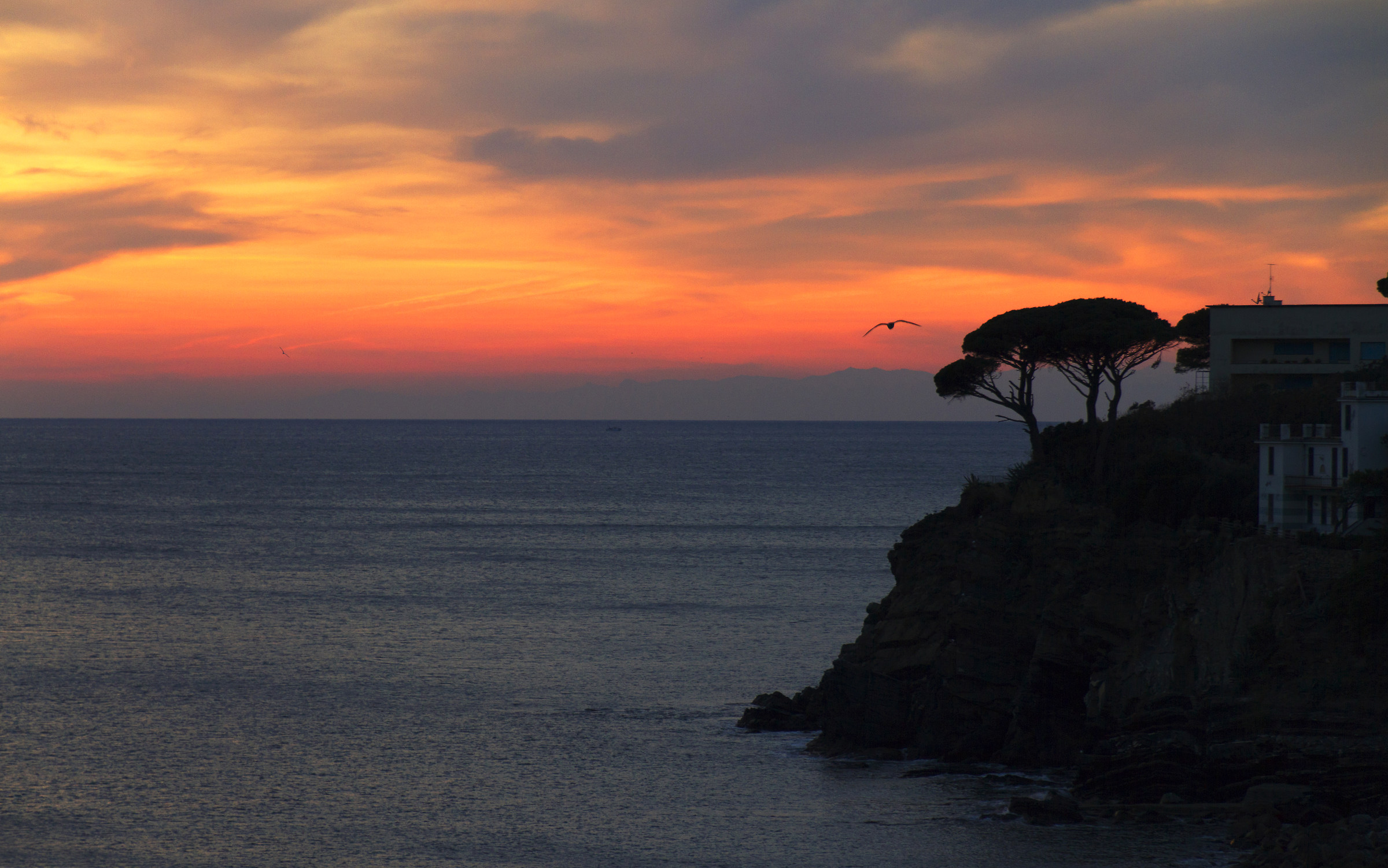tramonto  Sestri Levante