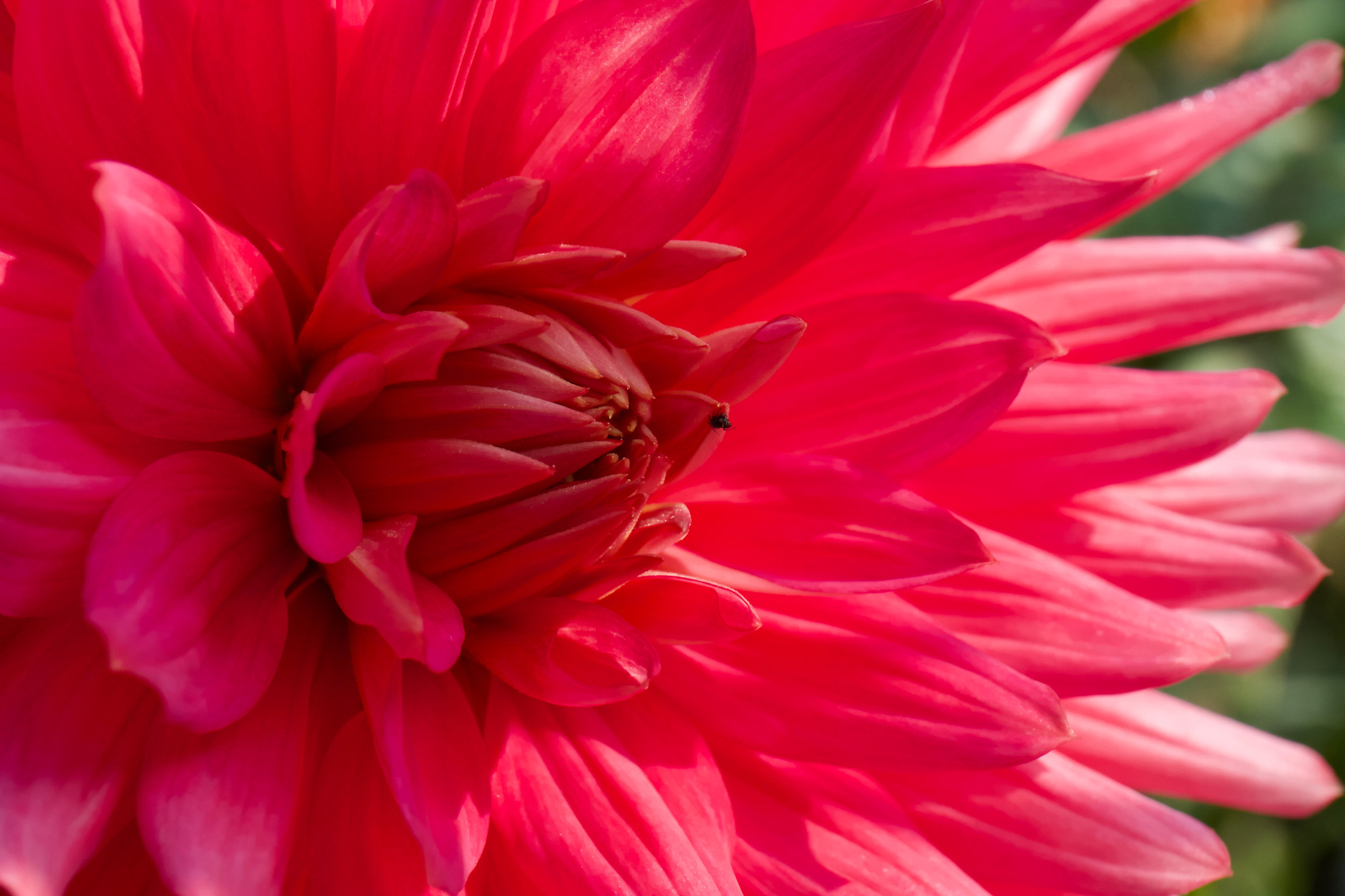 ... Discover the intruder ...