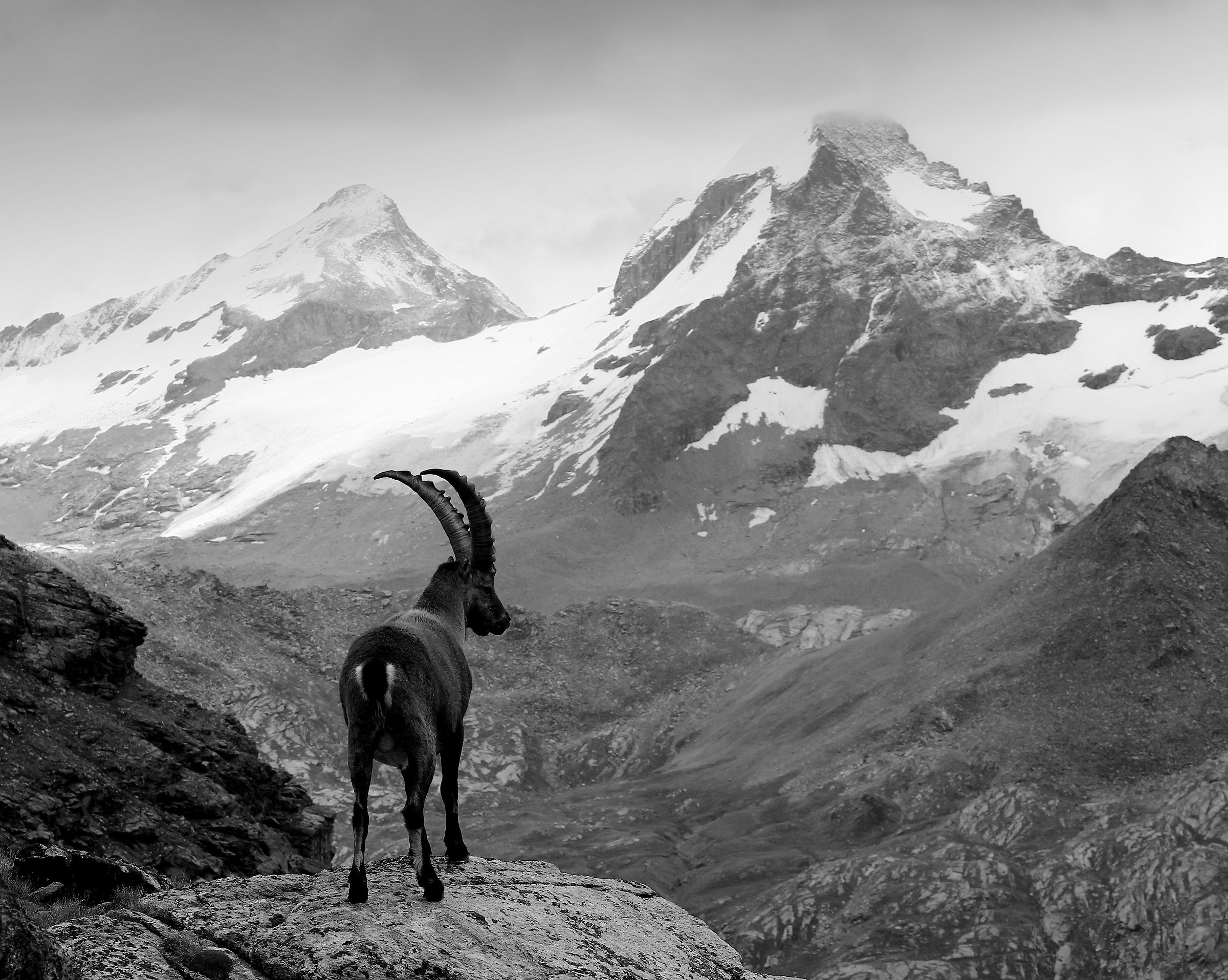 King of the Park, towards the hill Leynir