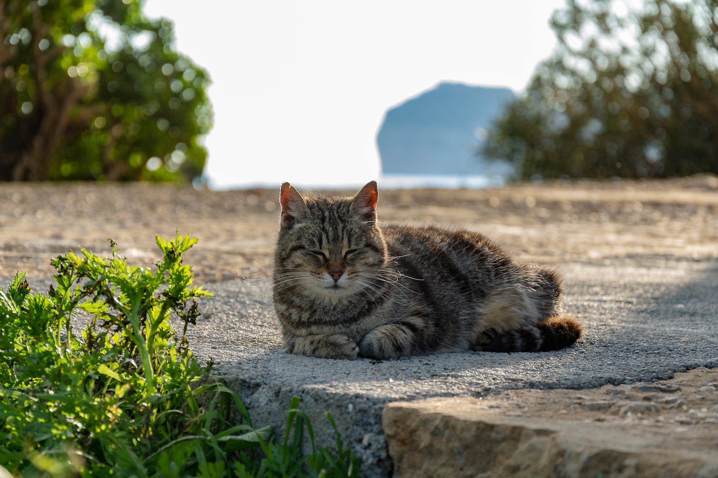 The guardian of El Faro- Porto Con-