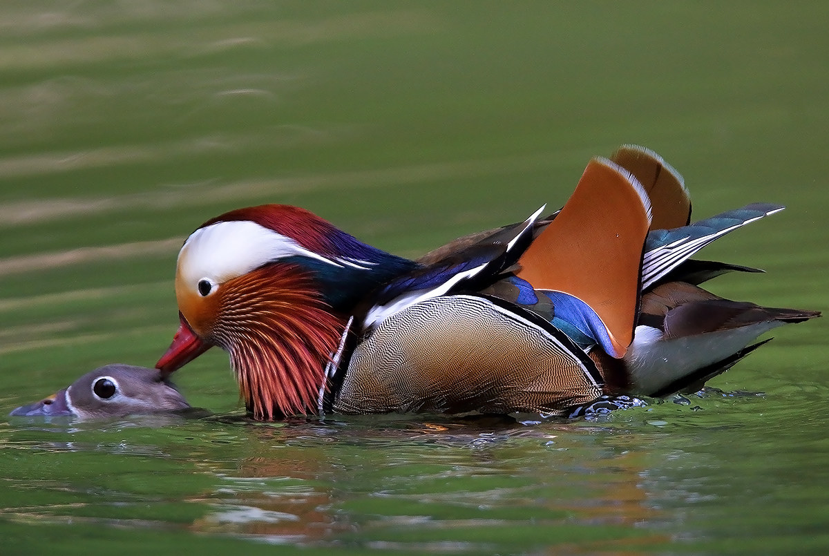 life must go on ......