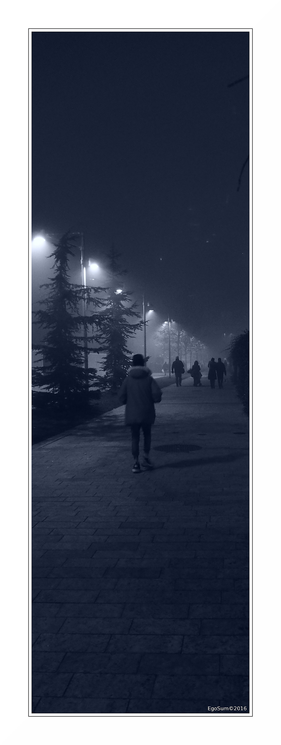 Back home late in the evening ...