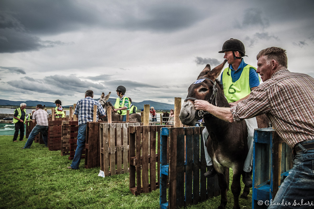 Donkey Derby (Mullaghmore - Irlanda)