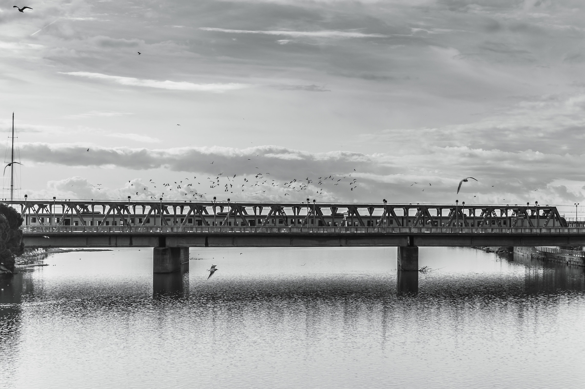 Traveling among the seagulls