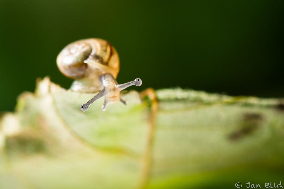 Andate a sinistra oa destra