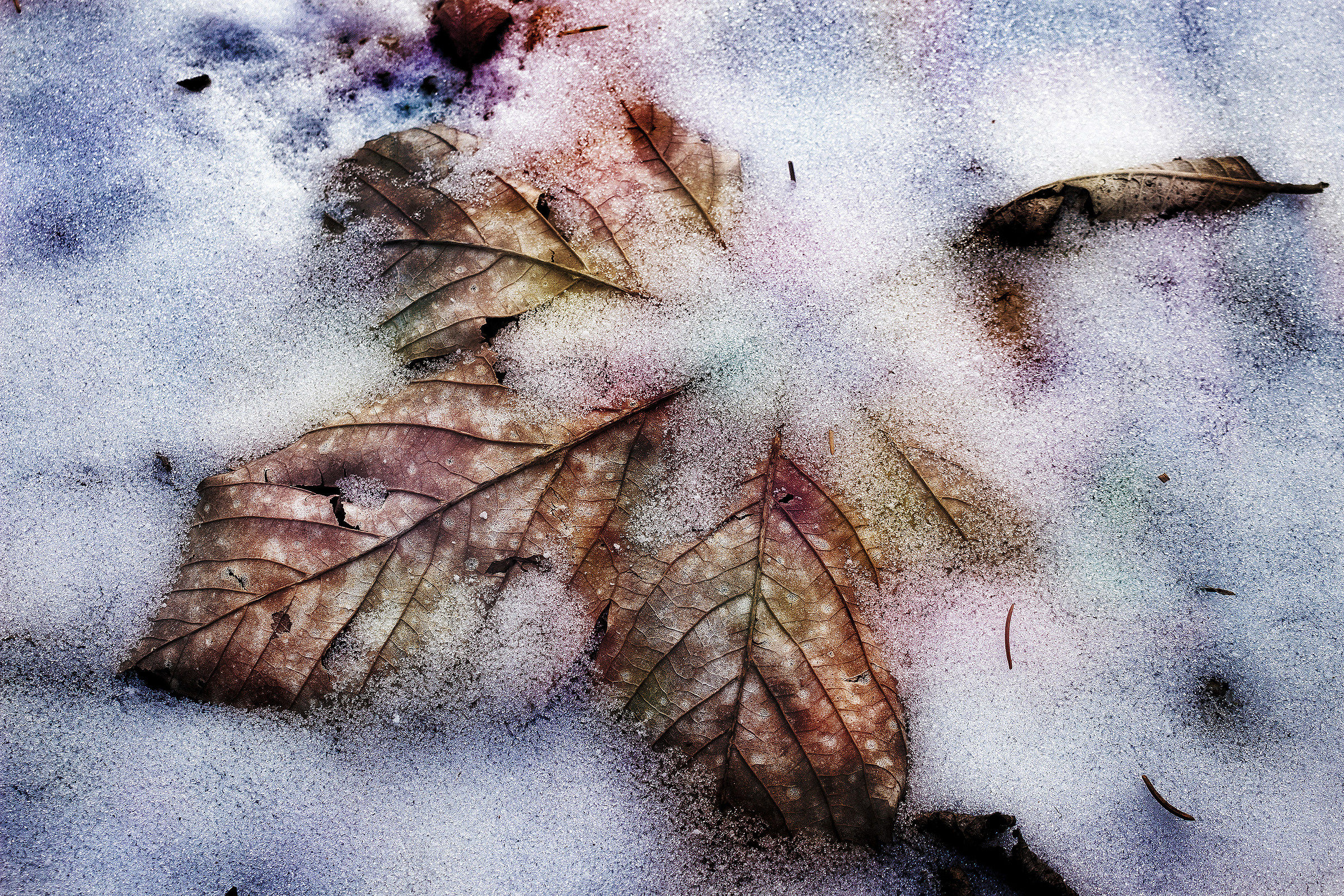 dead leaf ... but not too ...