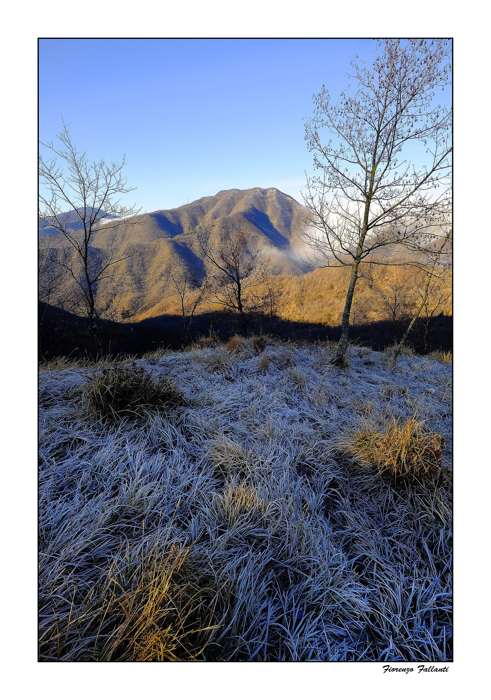 sorprese della natura