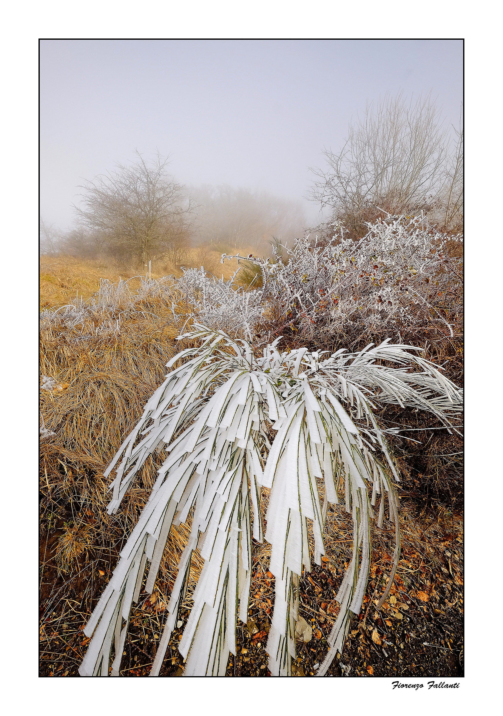 sorprese della natura 2