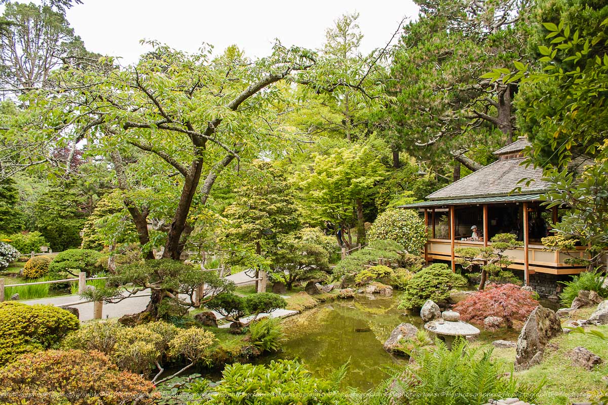 San Francisco - Japanese Tea Garden