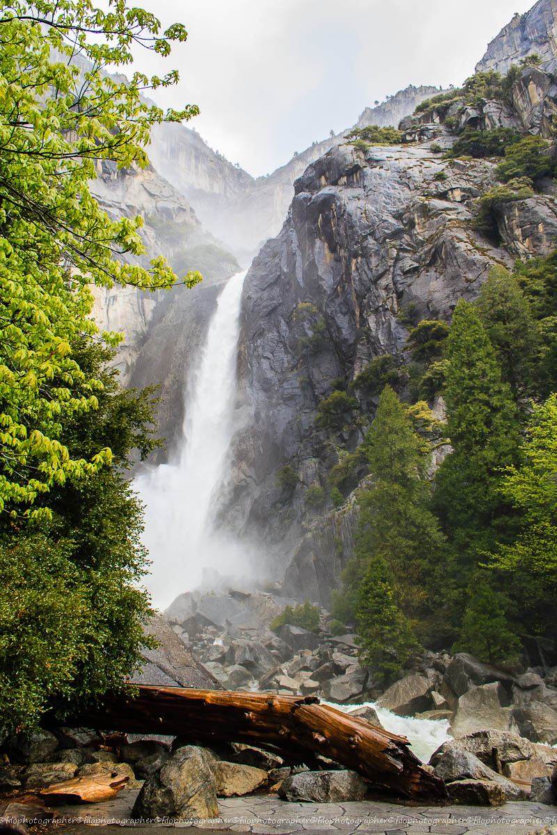 Yosemite National Park