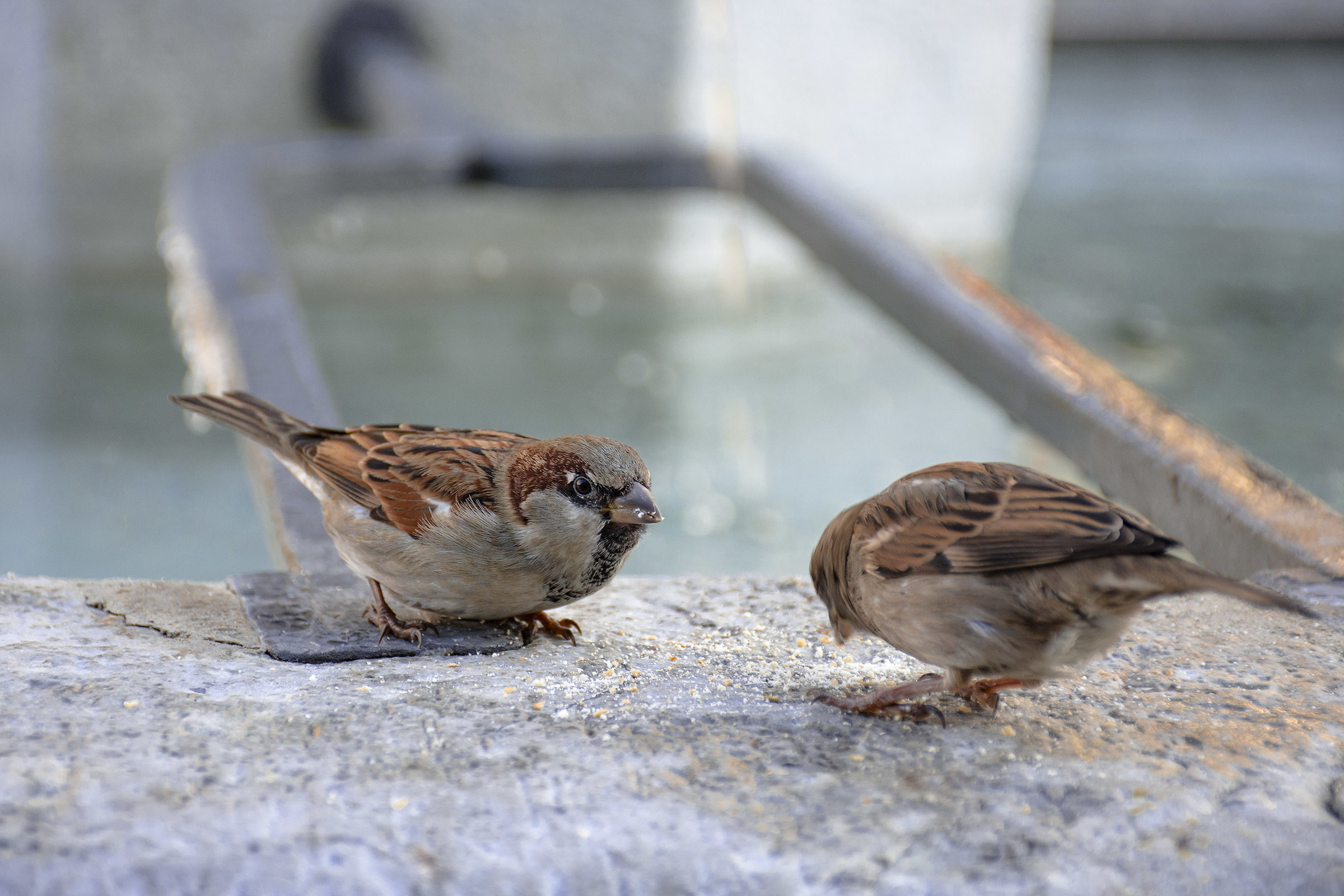 Leave me a little '.....