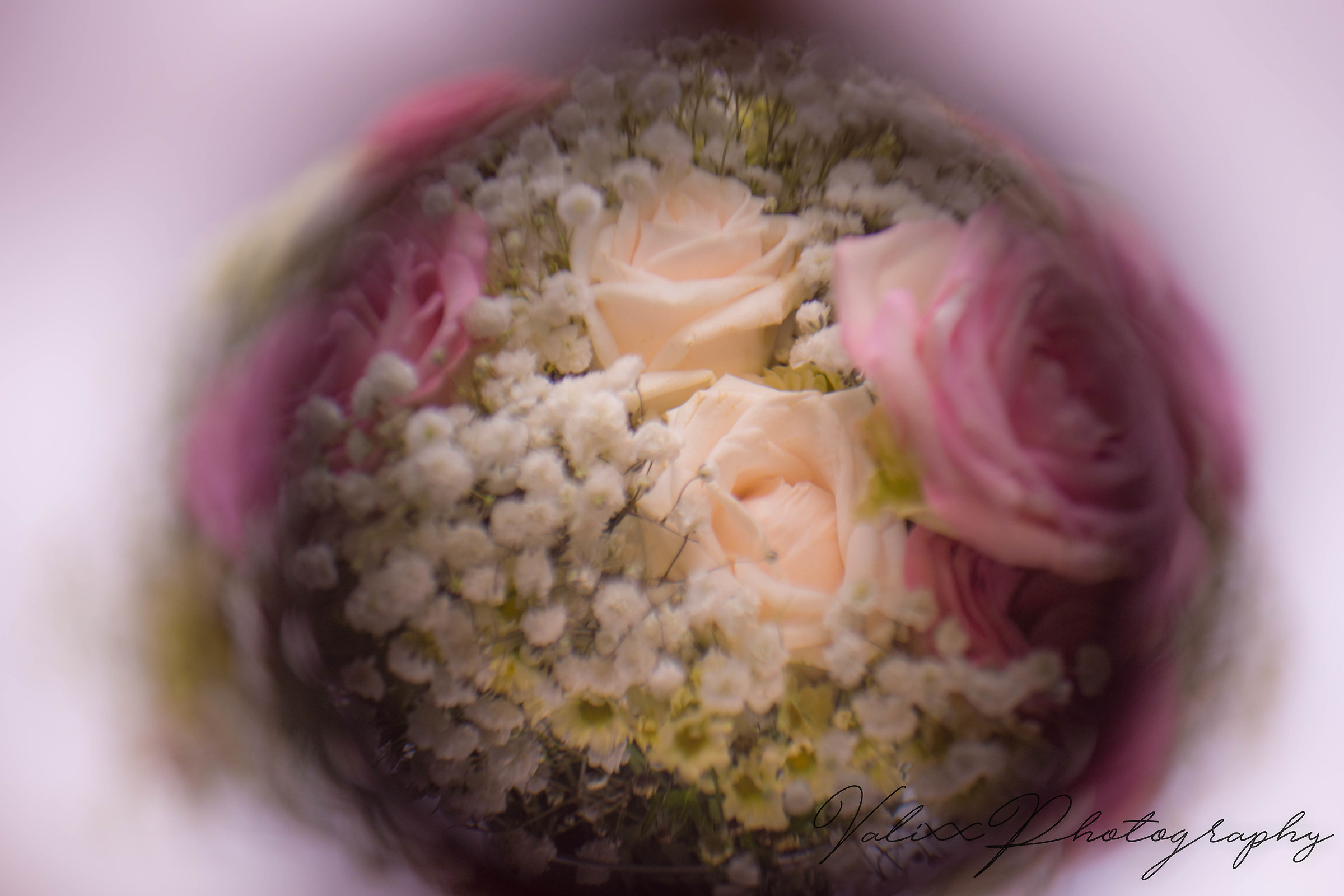 magnifying flowers2