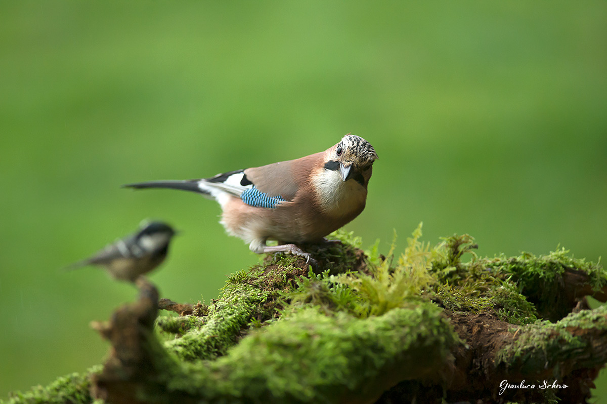 What are you looking ...