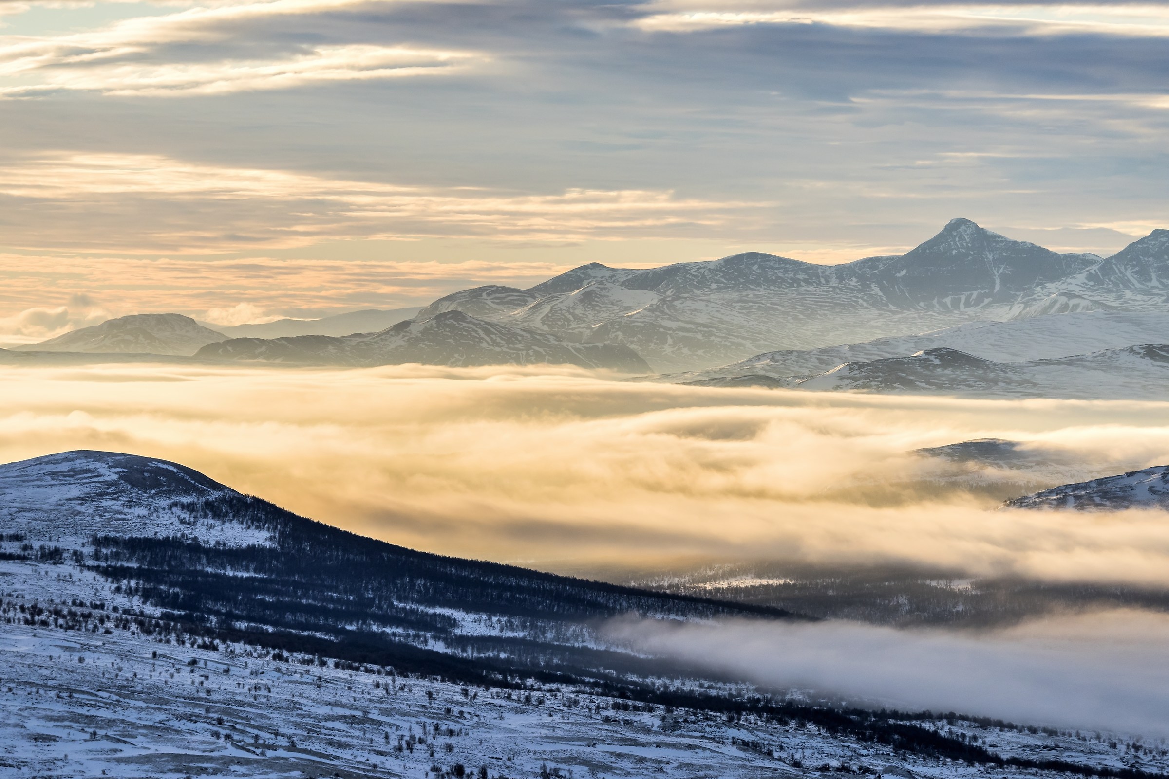 Parco di Dovrefjell 2017 - Tra la nebbia e il gelo