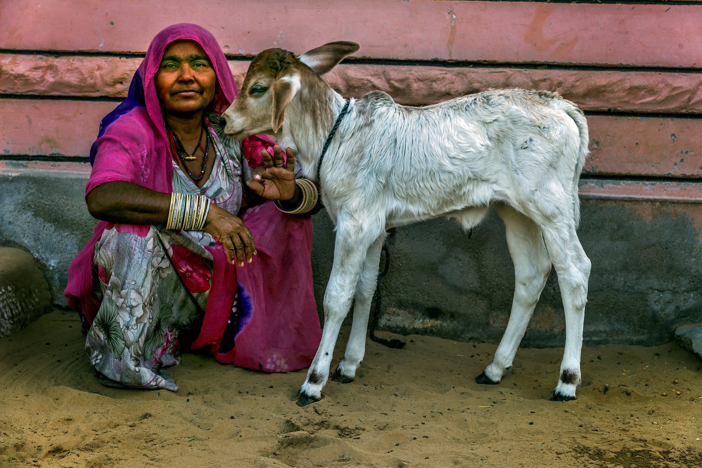 Rajasthan 2017 - In un piccolo villaggio rurale