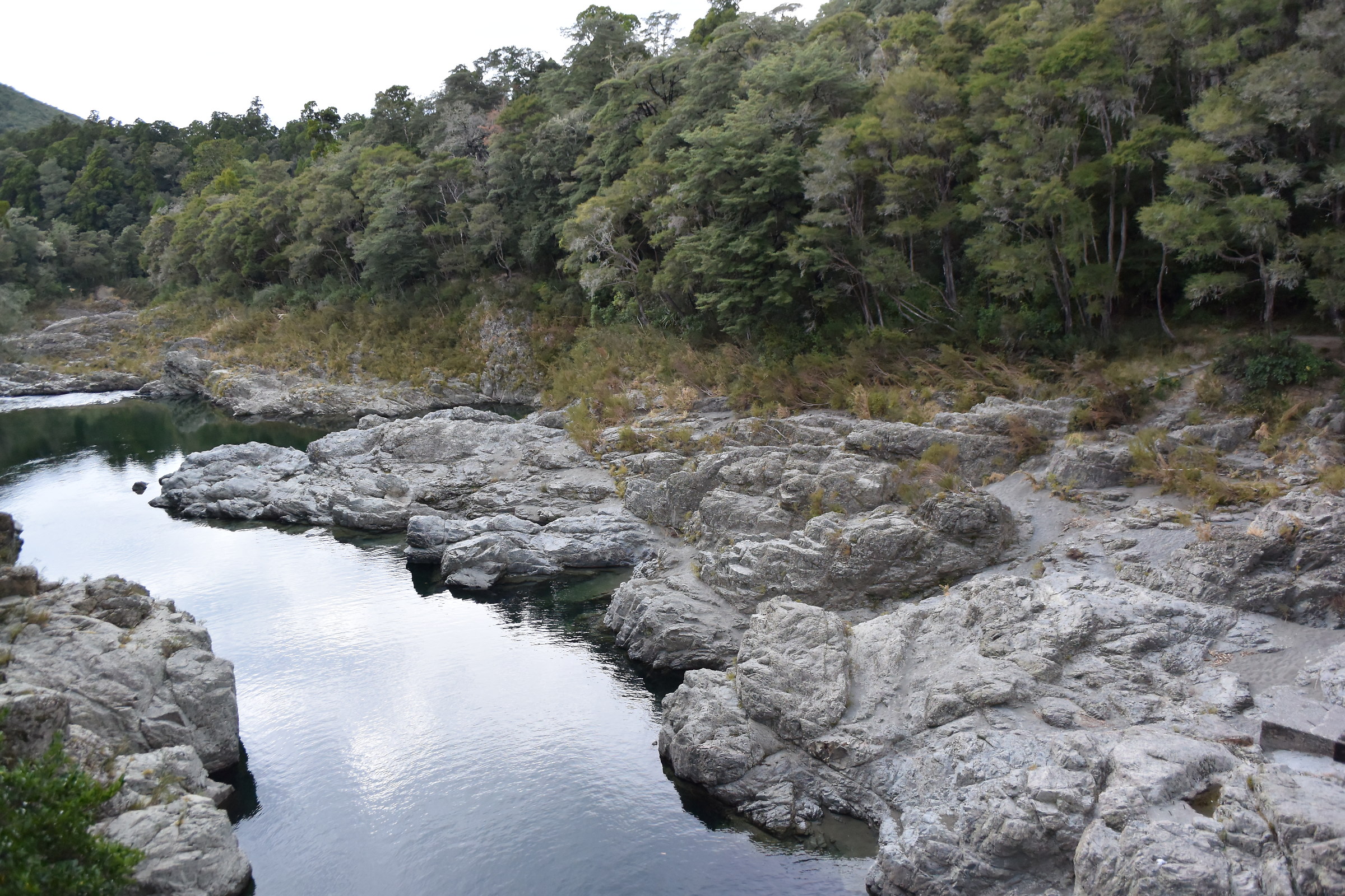 Pelorus River
