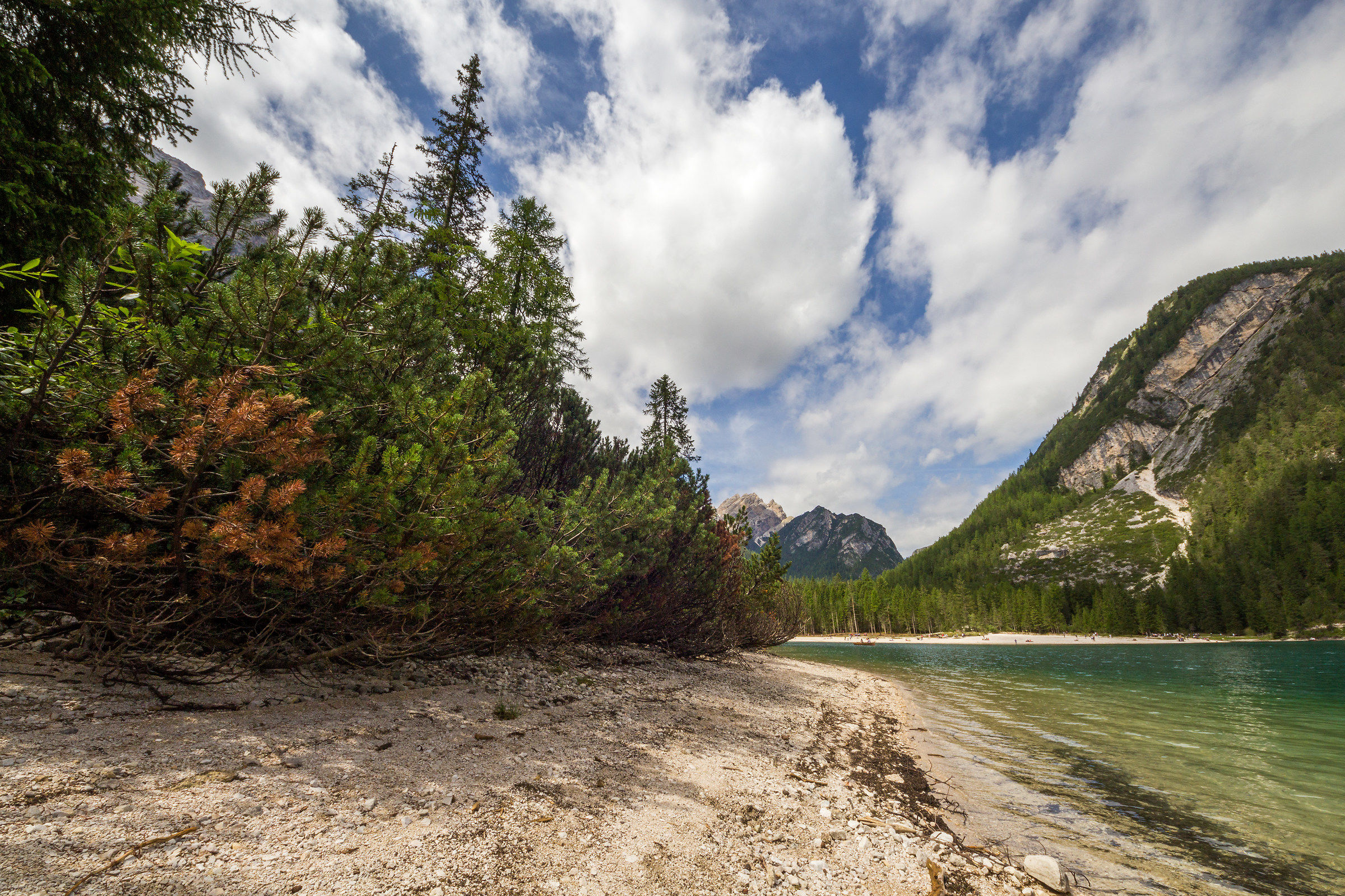 ...... ..... Just nature!