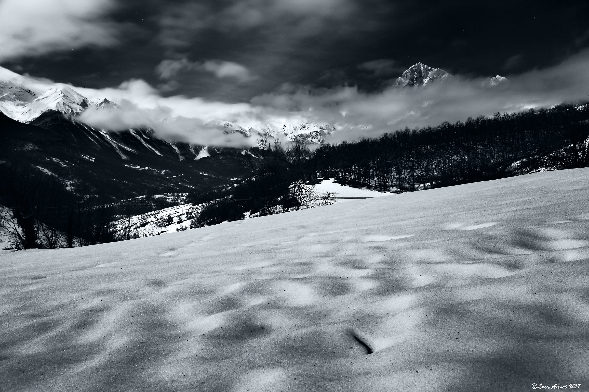 Al chiaro di luna b&w