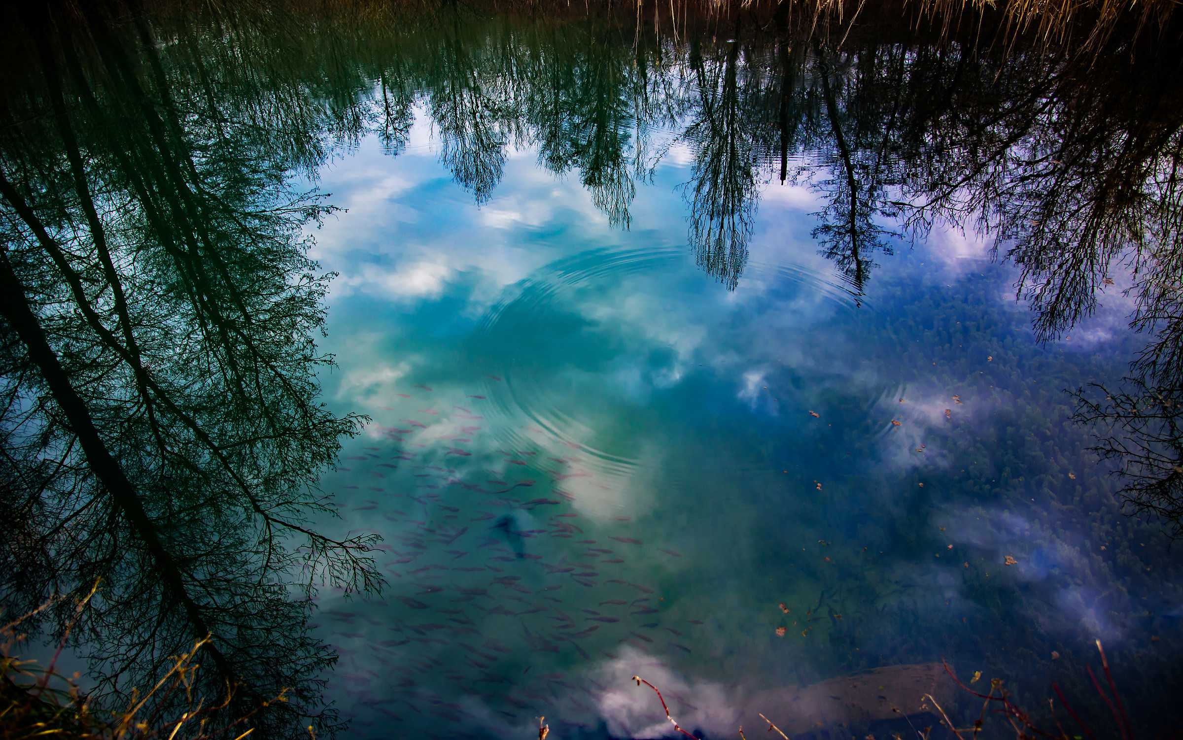 Una finestra sul cielo
