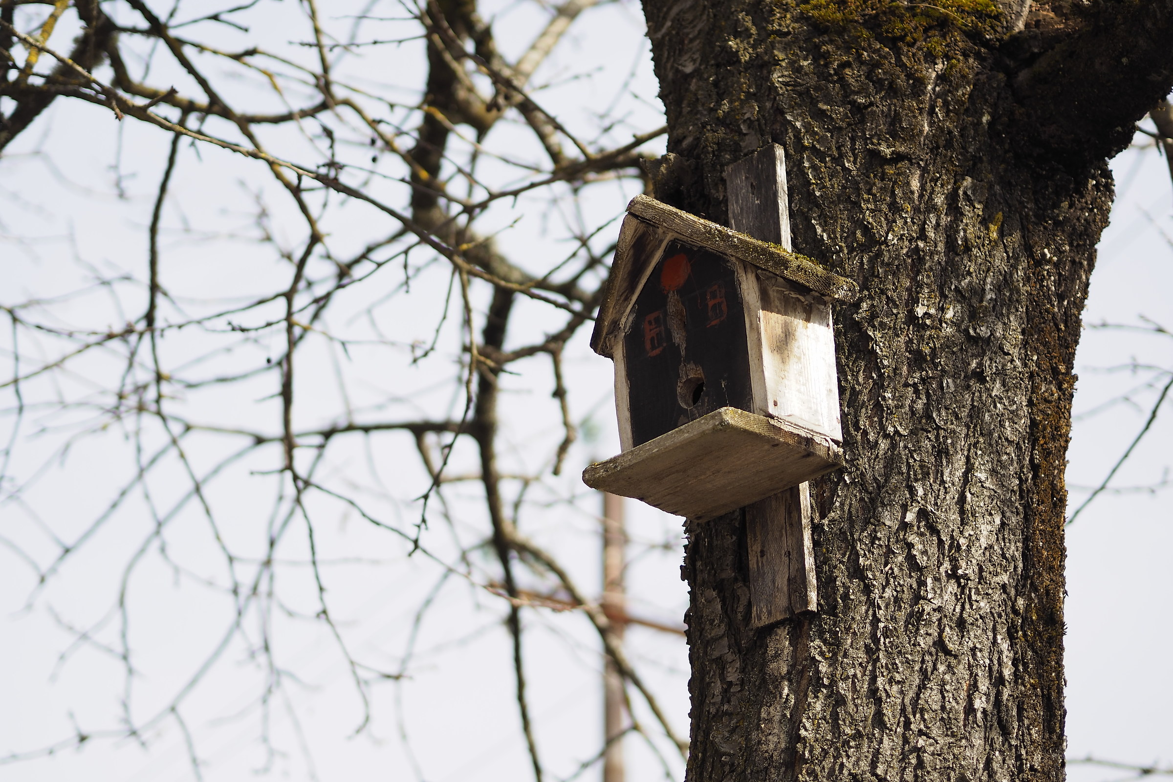 One Flew Over the Cuckoo's Nest ..
