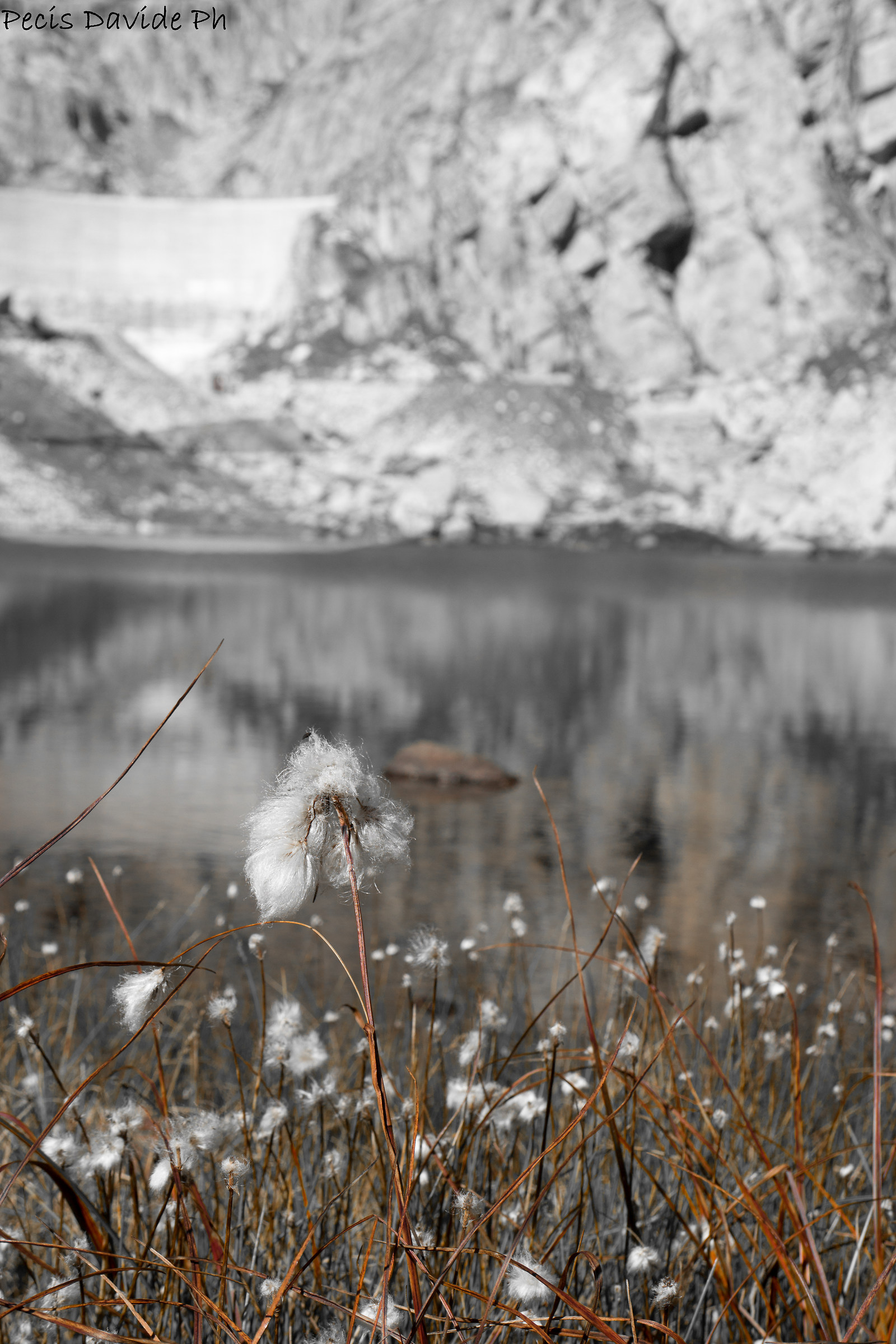 Giro dei 5 laghi - dettaglio