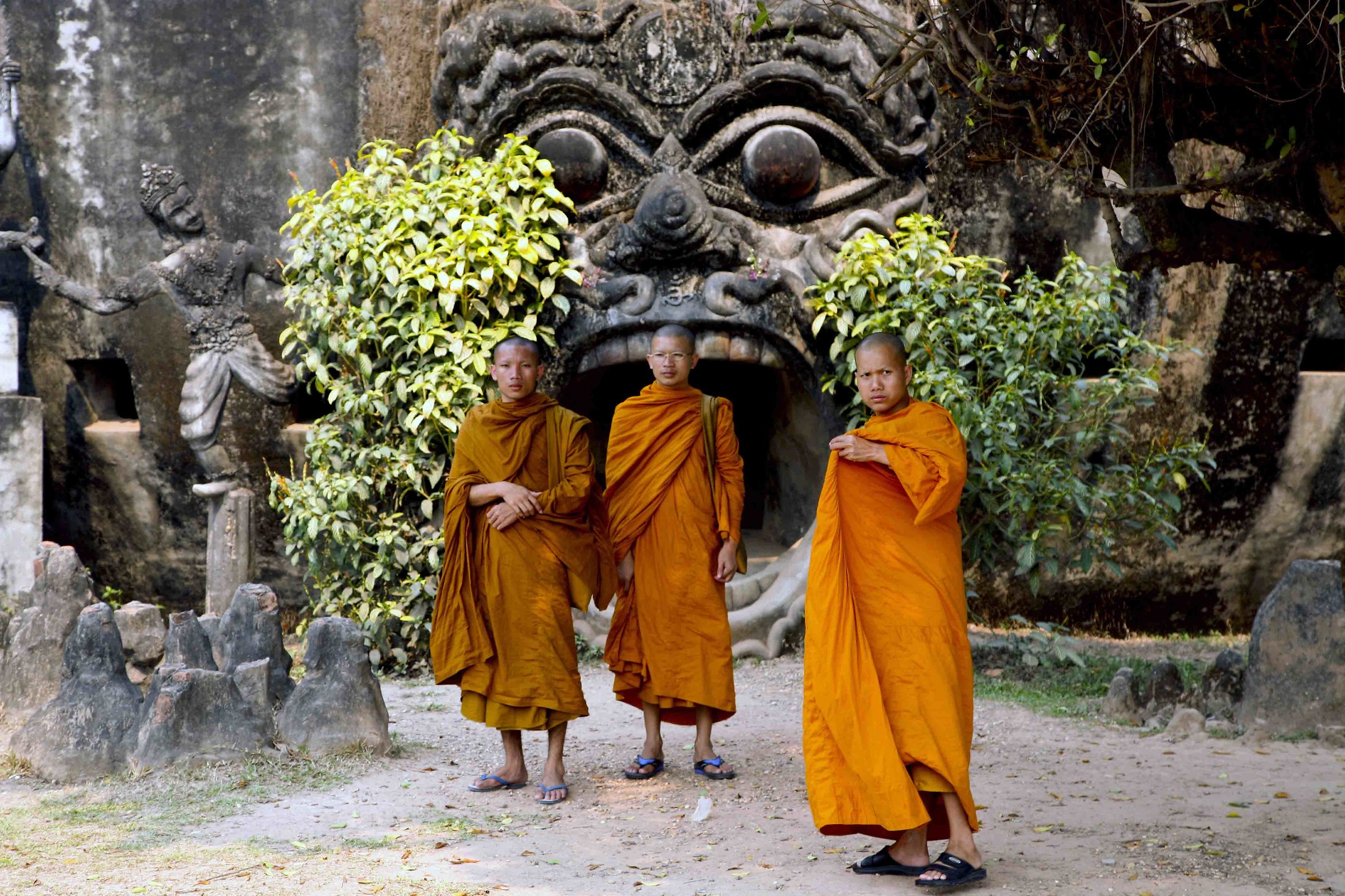 Buddhist monks in the sacred garden - Laos