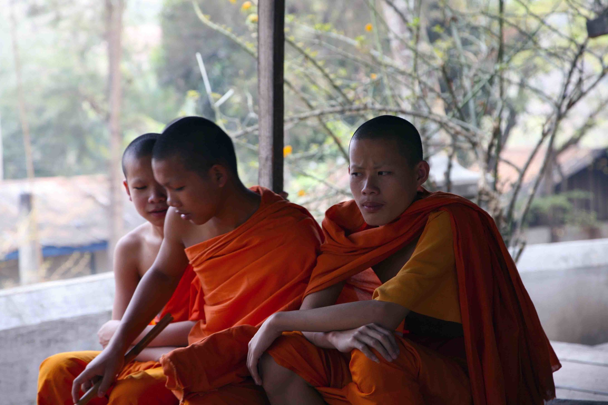 Young monks - Loas