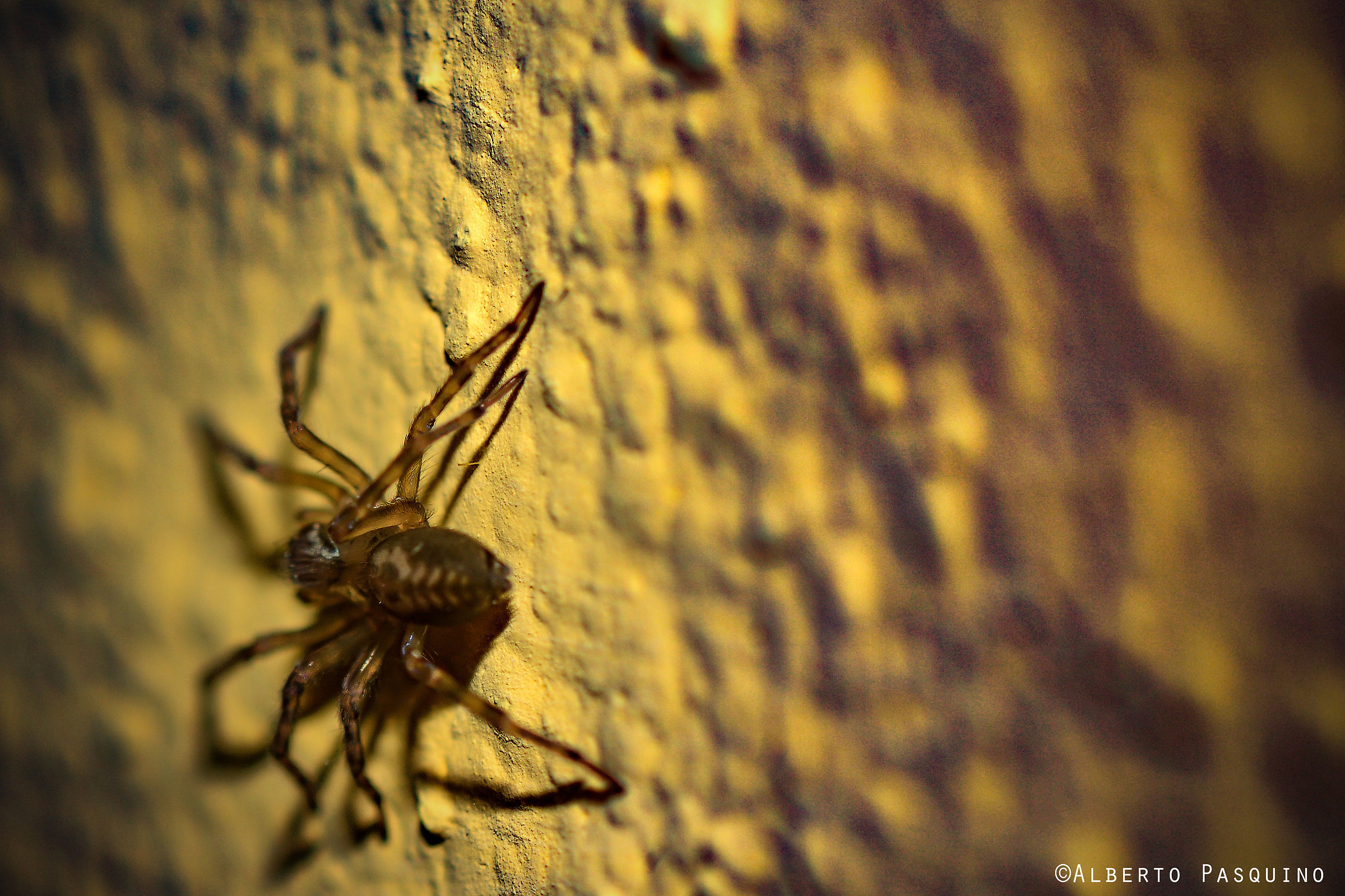 Sooner or later you catch !!!