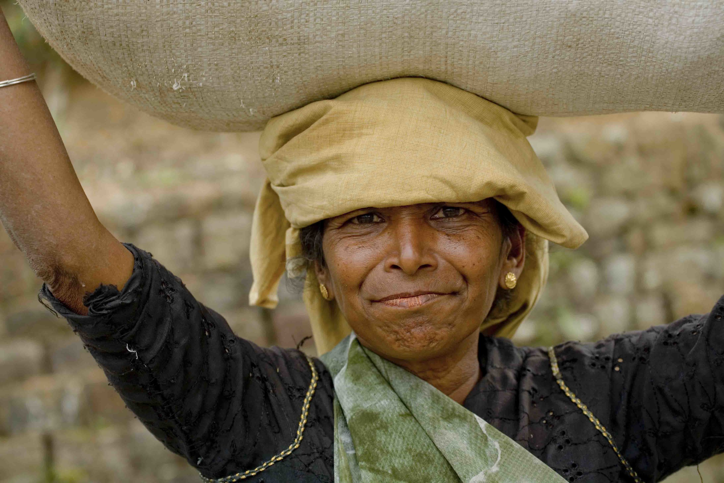 Picker you '- Sri Lanka
