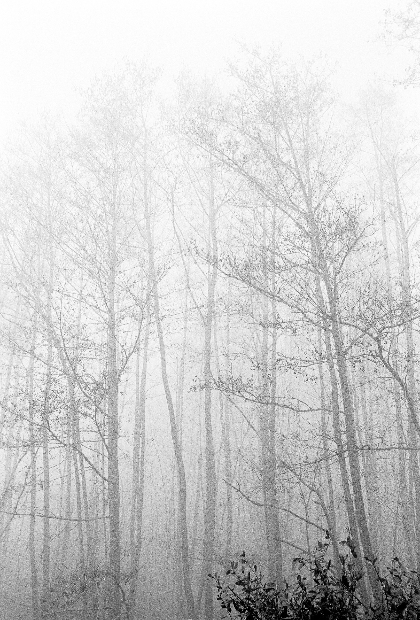 cosina ct1 super smc Pentax 28mm f / 2.8 kodak trix 400