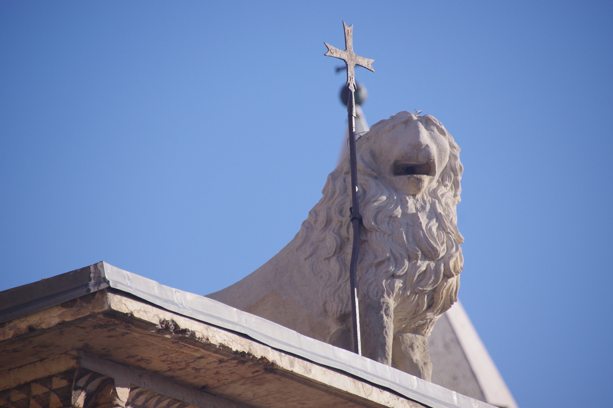 Il leone della tribù di Giuda