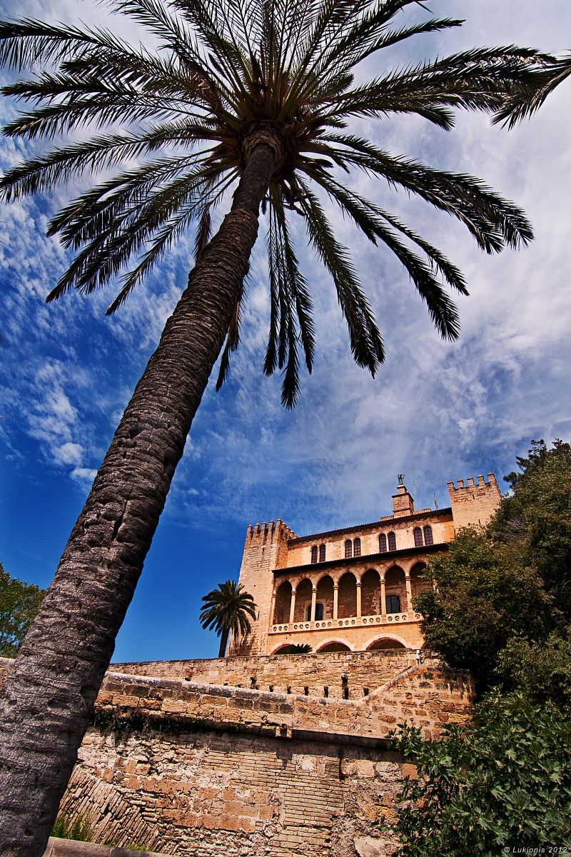 Castello reale