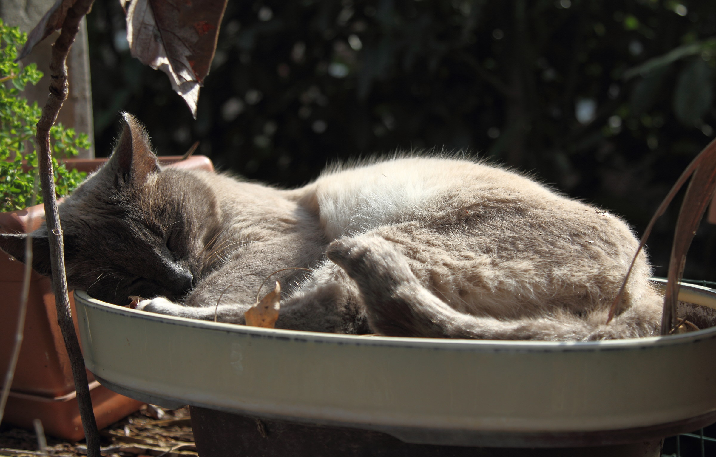 Ahhh ... the warm winter sun