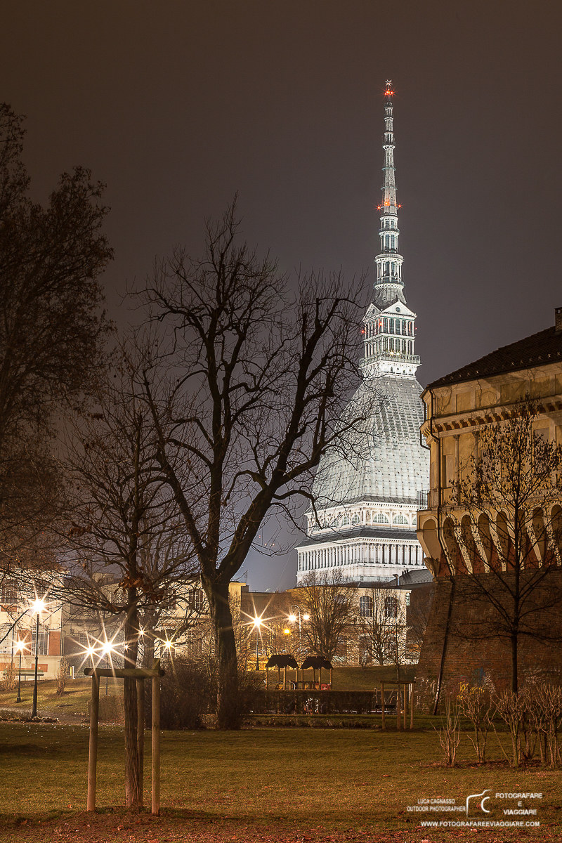 La Mole Antonelliana vista dei Giardini Reali