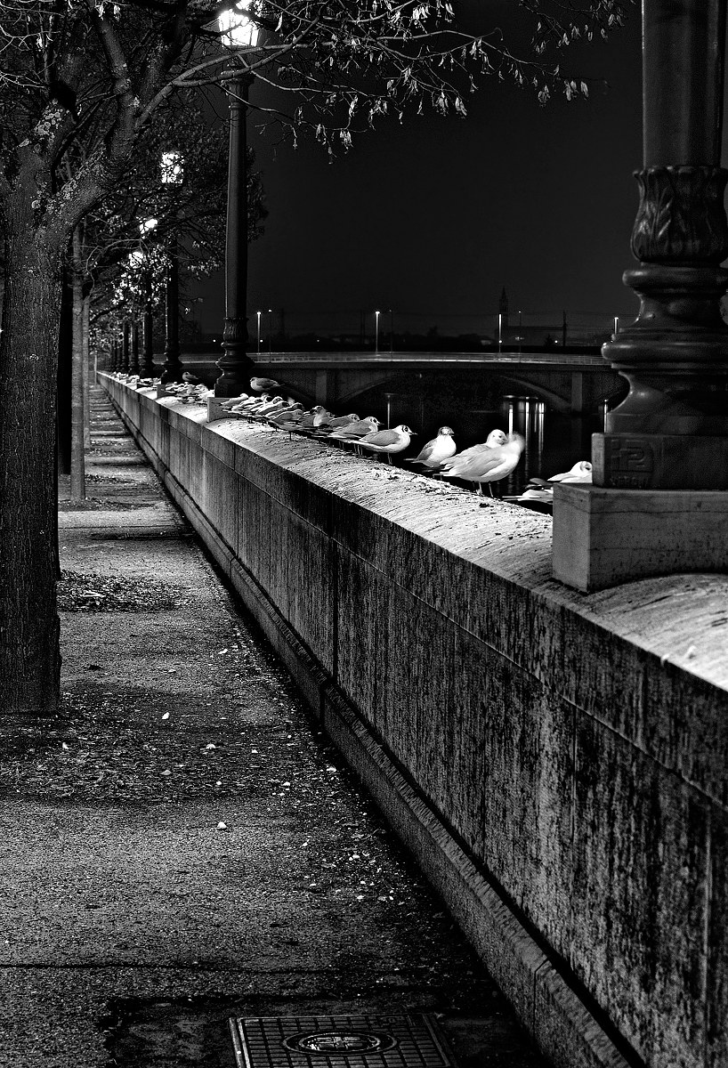 se famo du chiacchiere