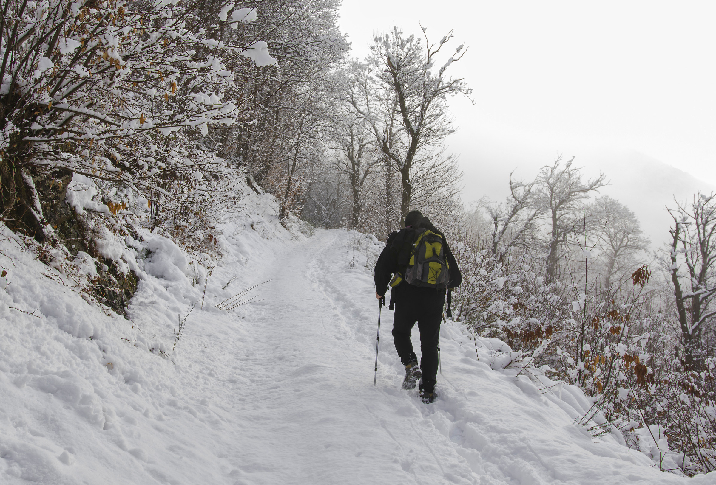 Always ahead not stop you