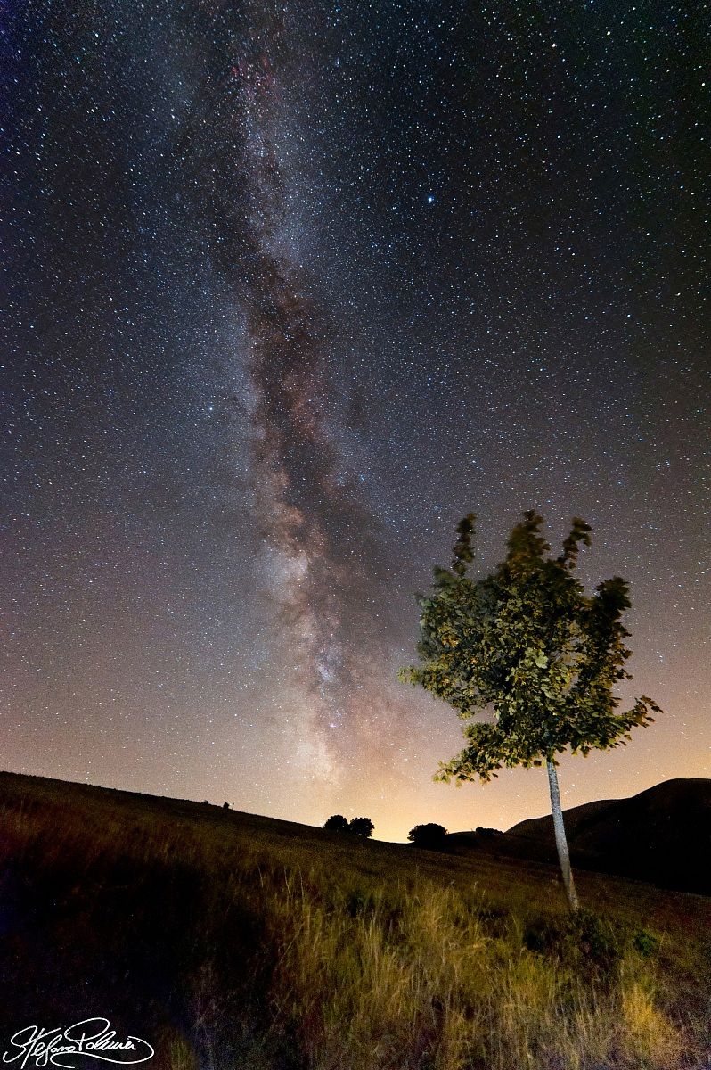 Via lattea da Forca Canapine con l'albero