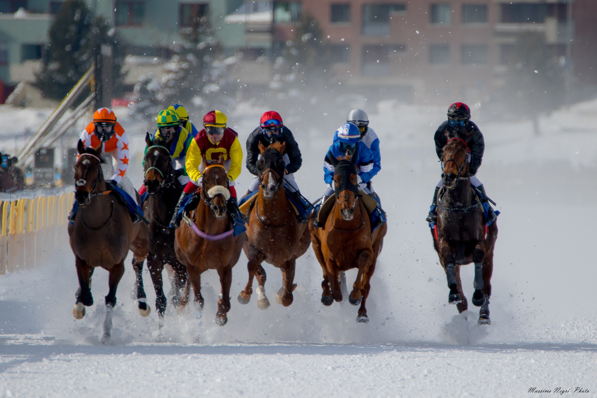 white turf san moritz