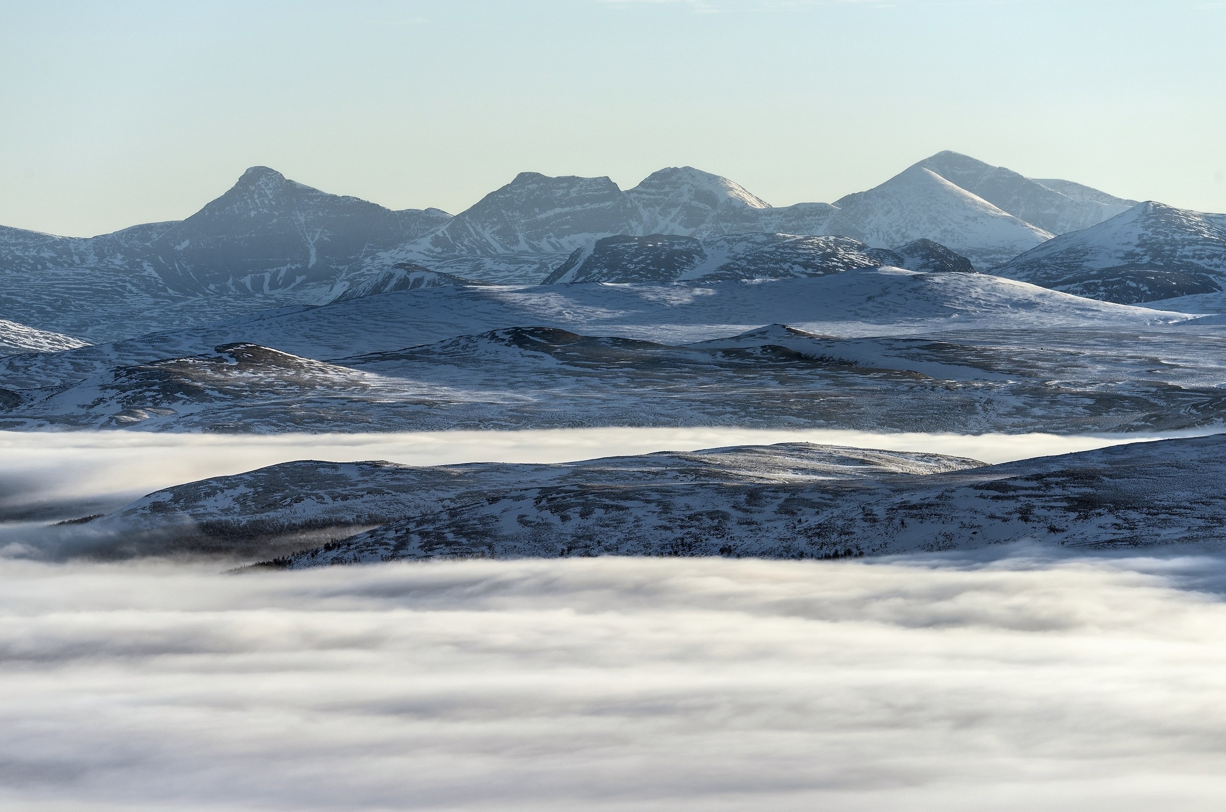Dovrefjell 2017 - Alba
