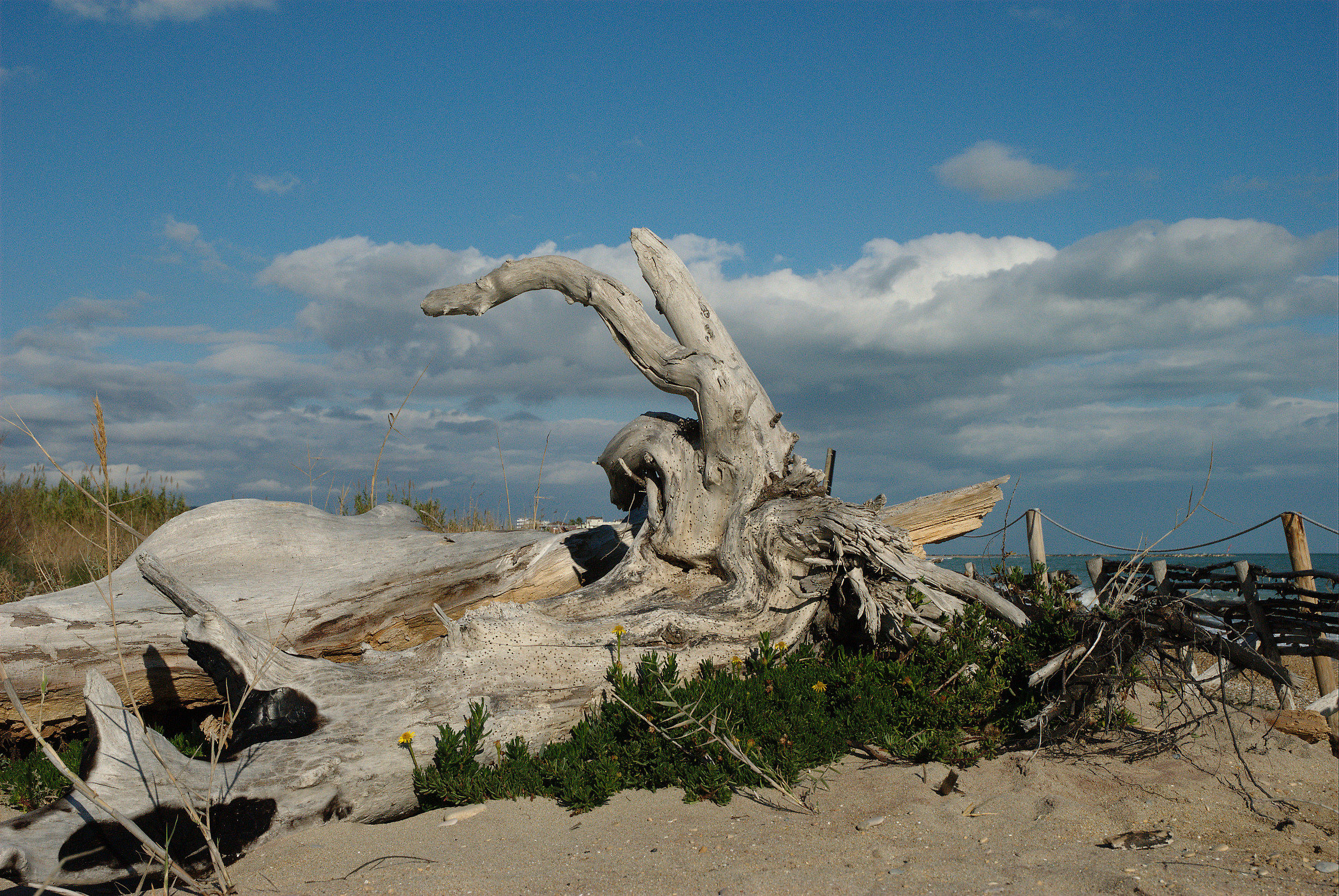 Beach, San Benedetto del Tronto