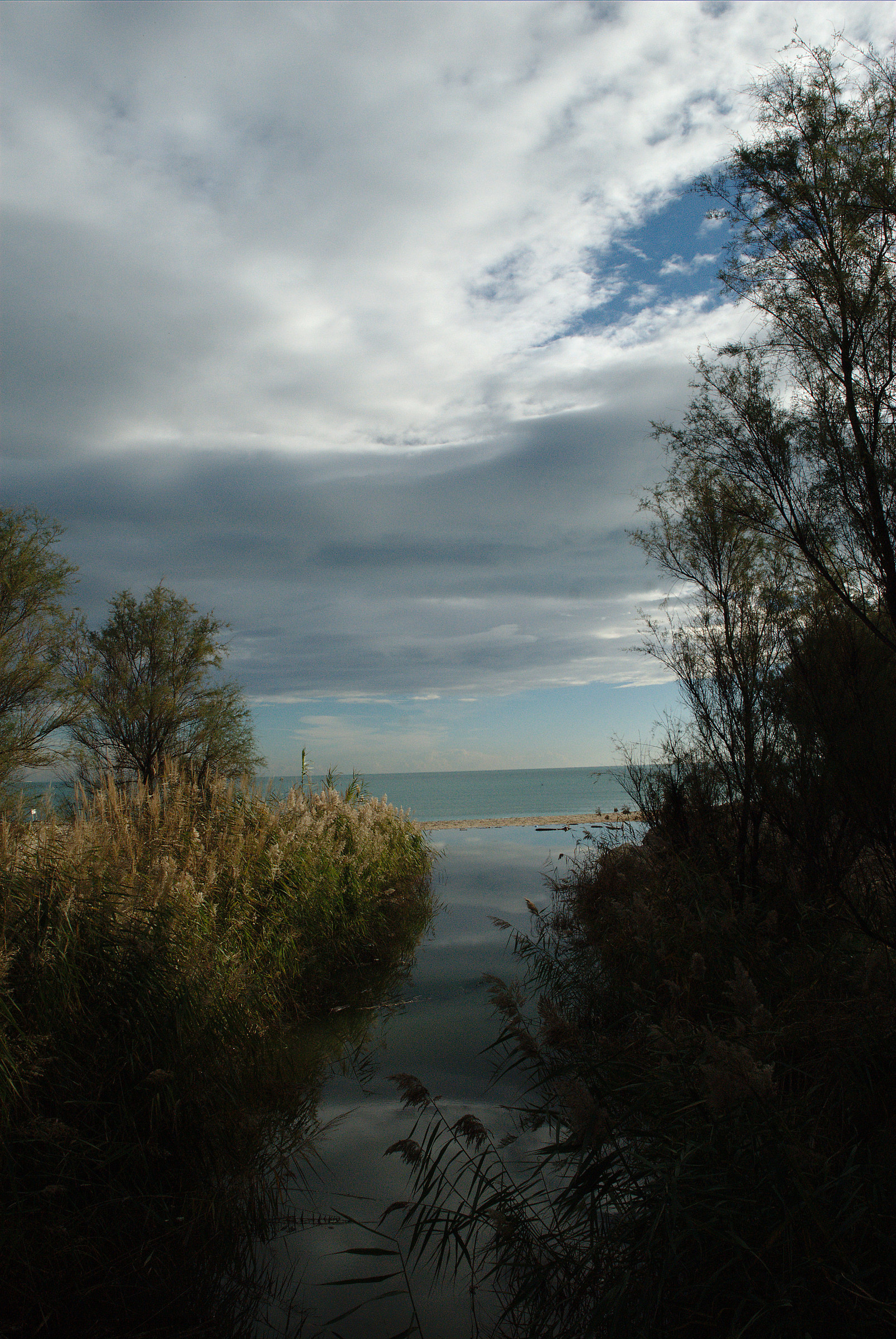 Bilge, San Benedetto del Tronto