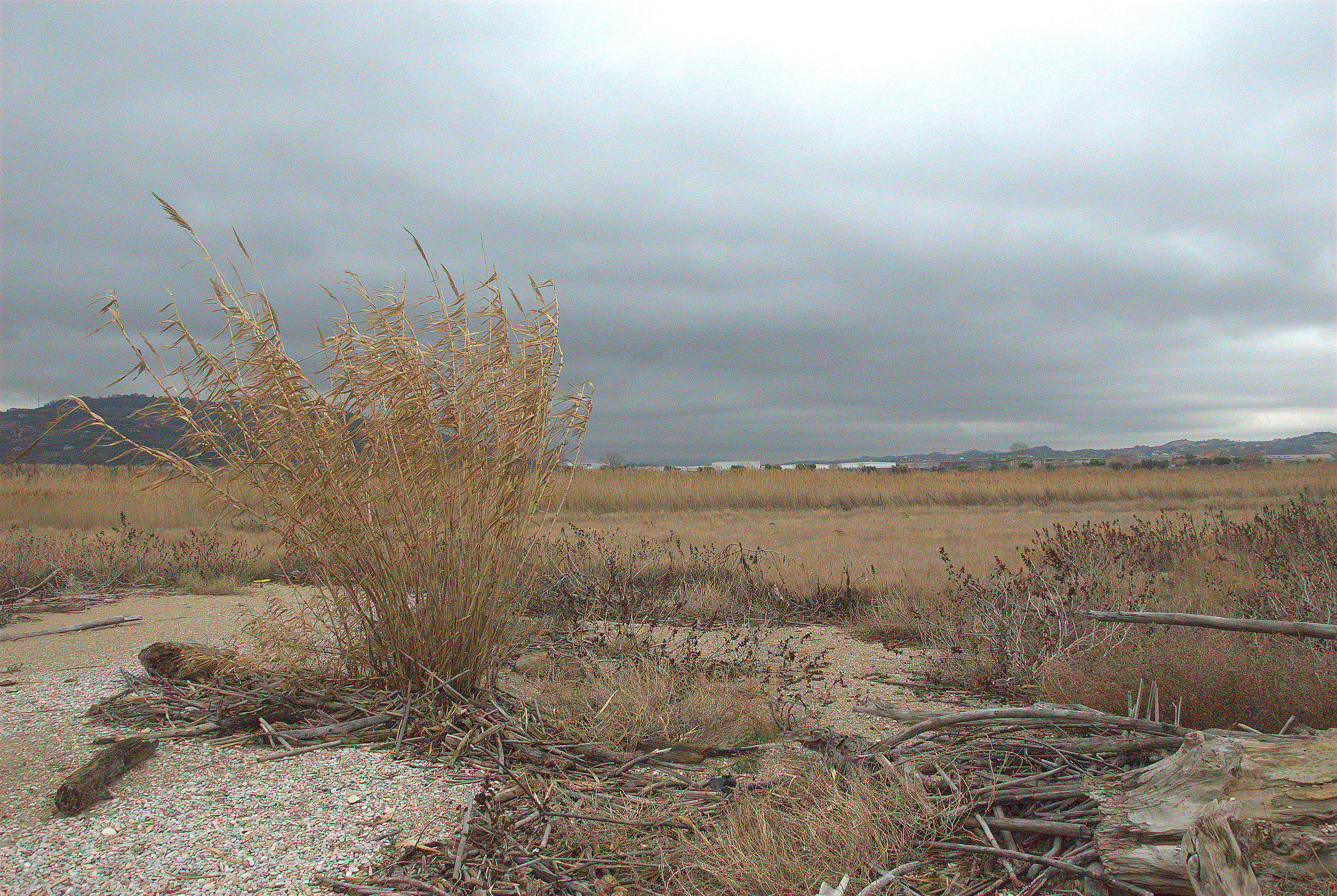 Coast, San Benedetto del Tronto