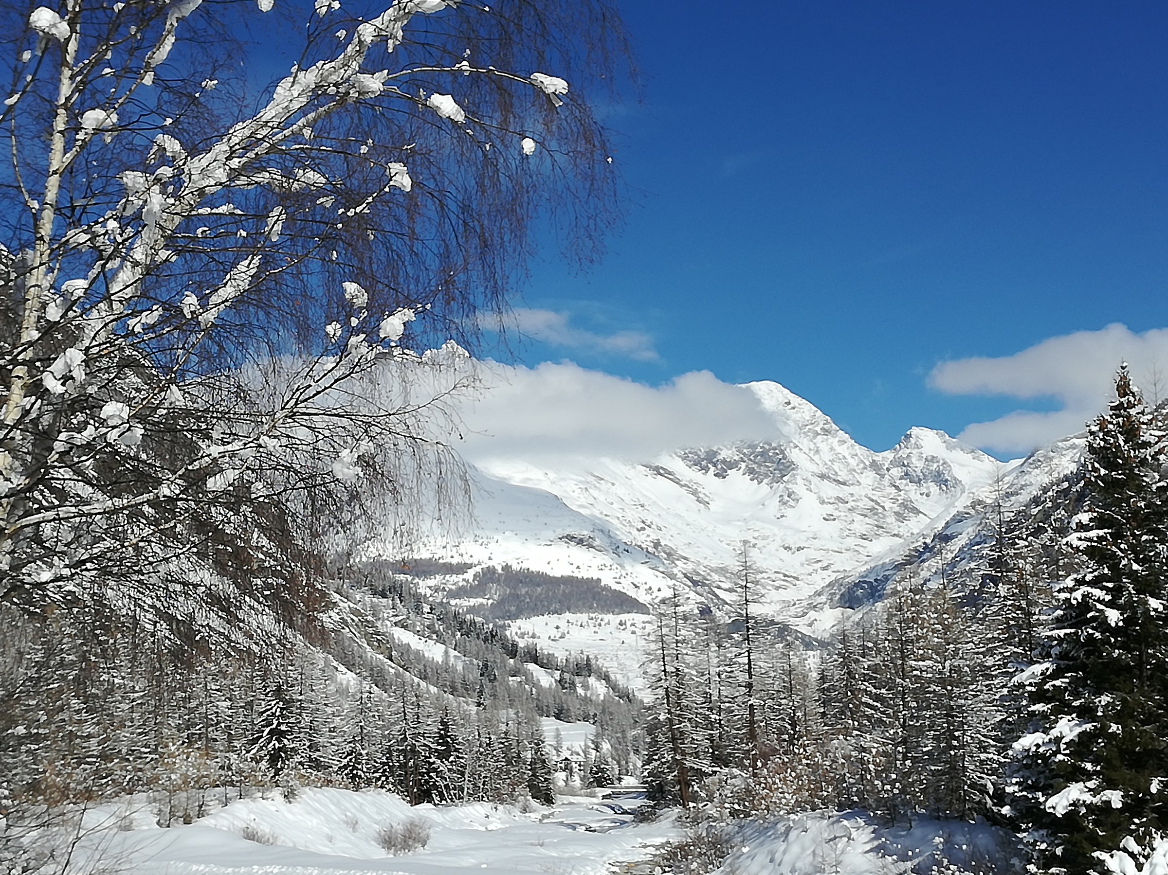 Cogne parco gran paradiso