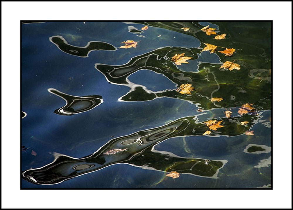 abstract with leaves