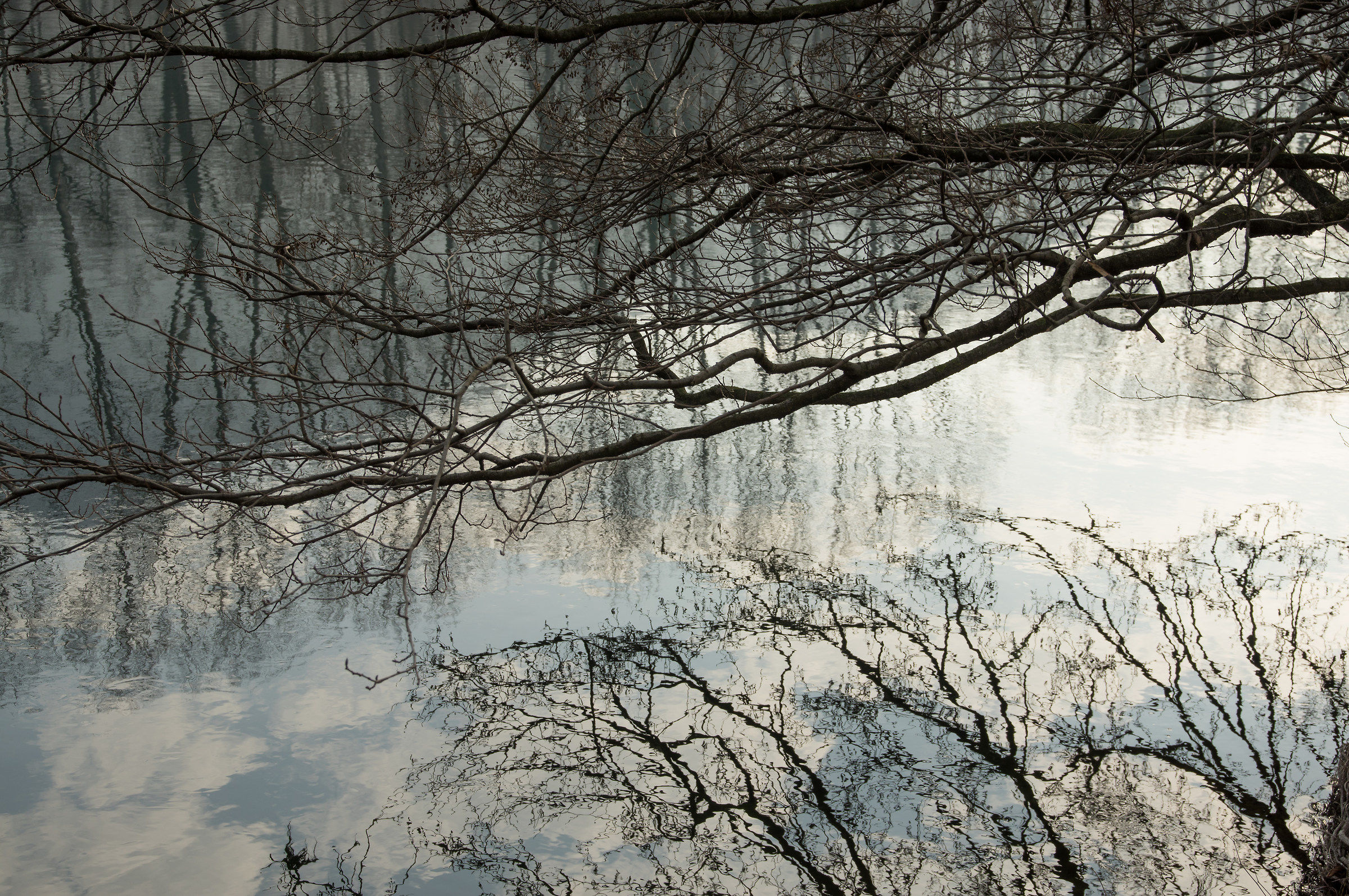 Riflessi sul fiume