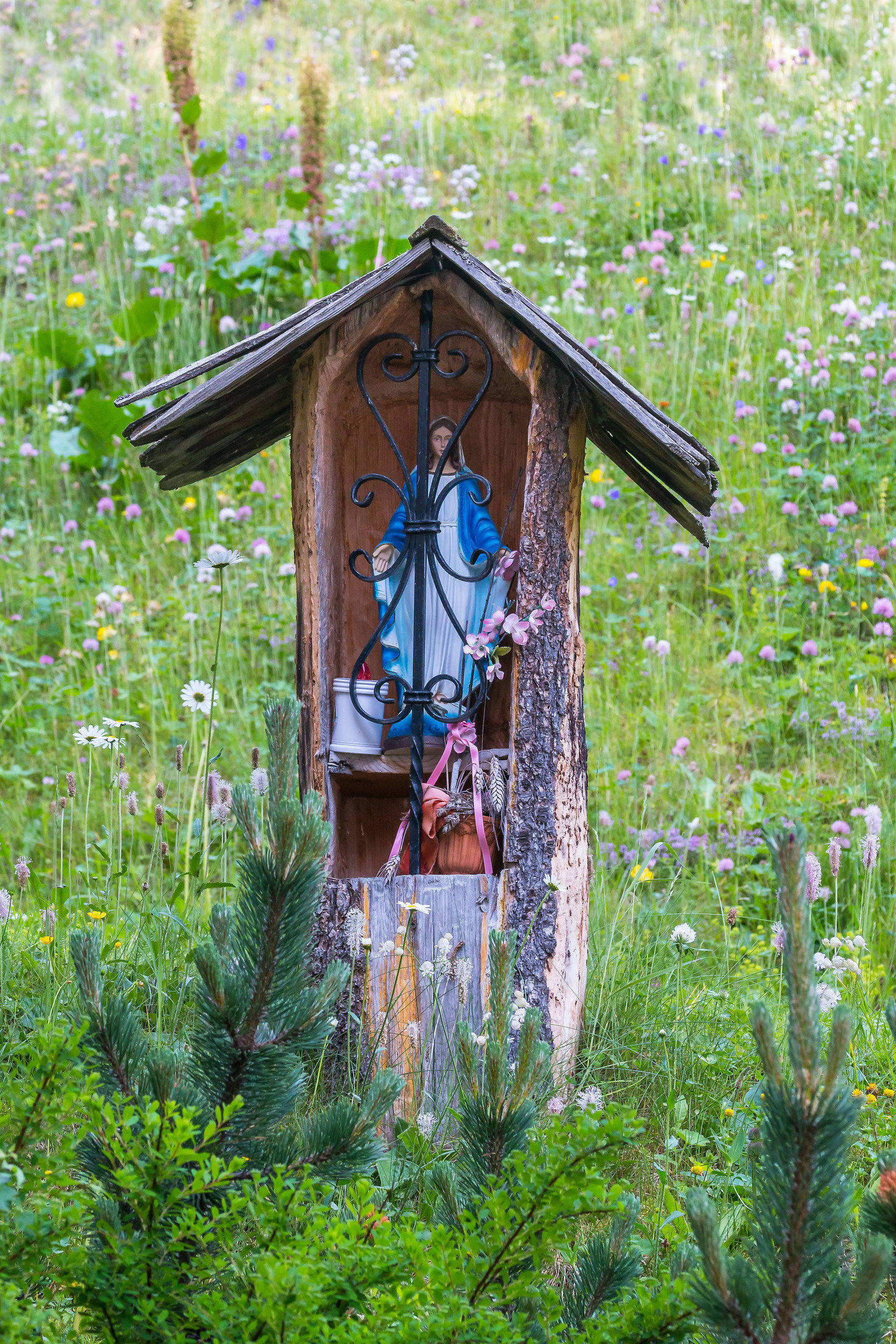 La Madonnina in the trunk.