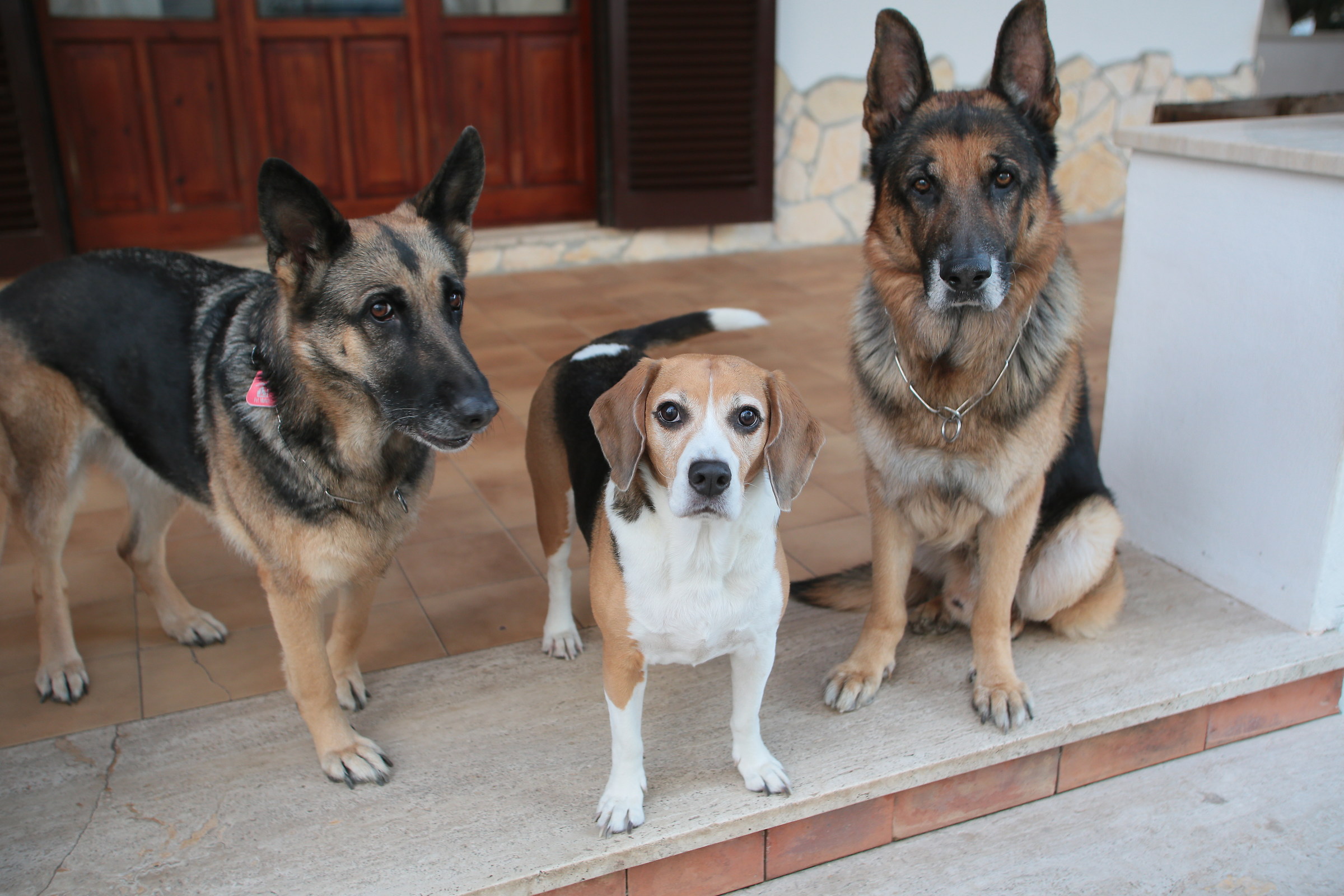 Brenda, Penny, Raian: il trio Lescano