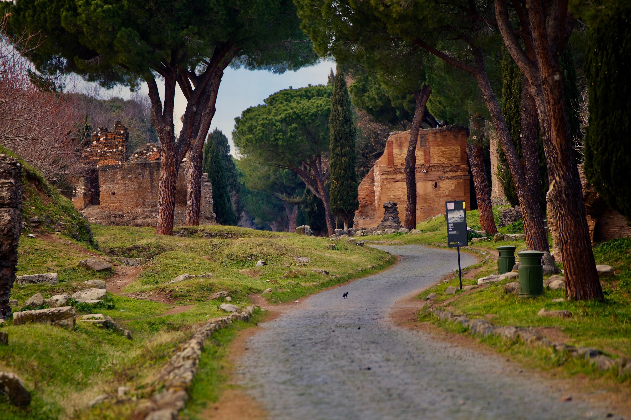 il percorso della storia