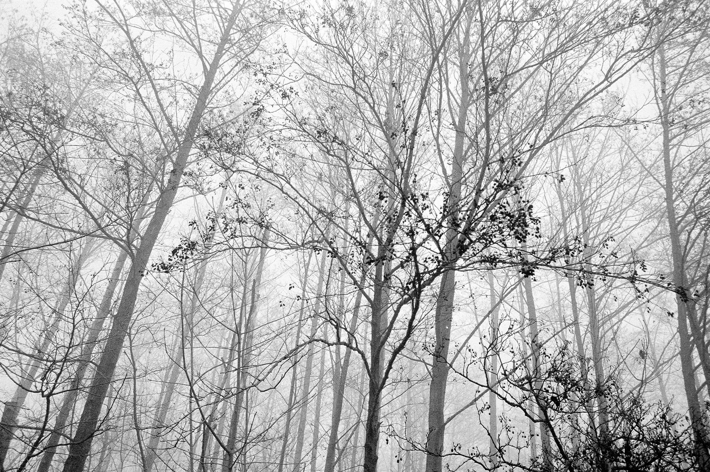 cosina ct1 super smc Pentax 28mm f / 2.8 kodak trix 400